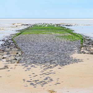 Kop-van-Noord-Holland-strand