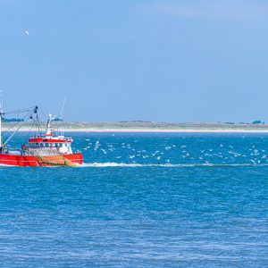 Kop-van-Noord-Holland-boot