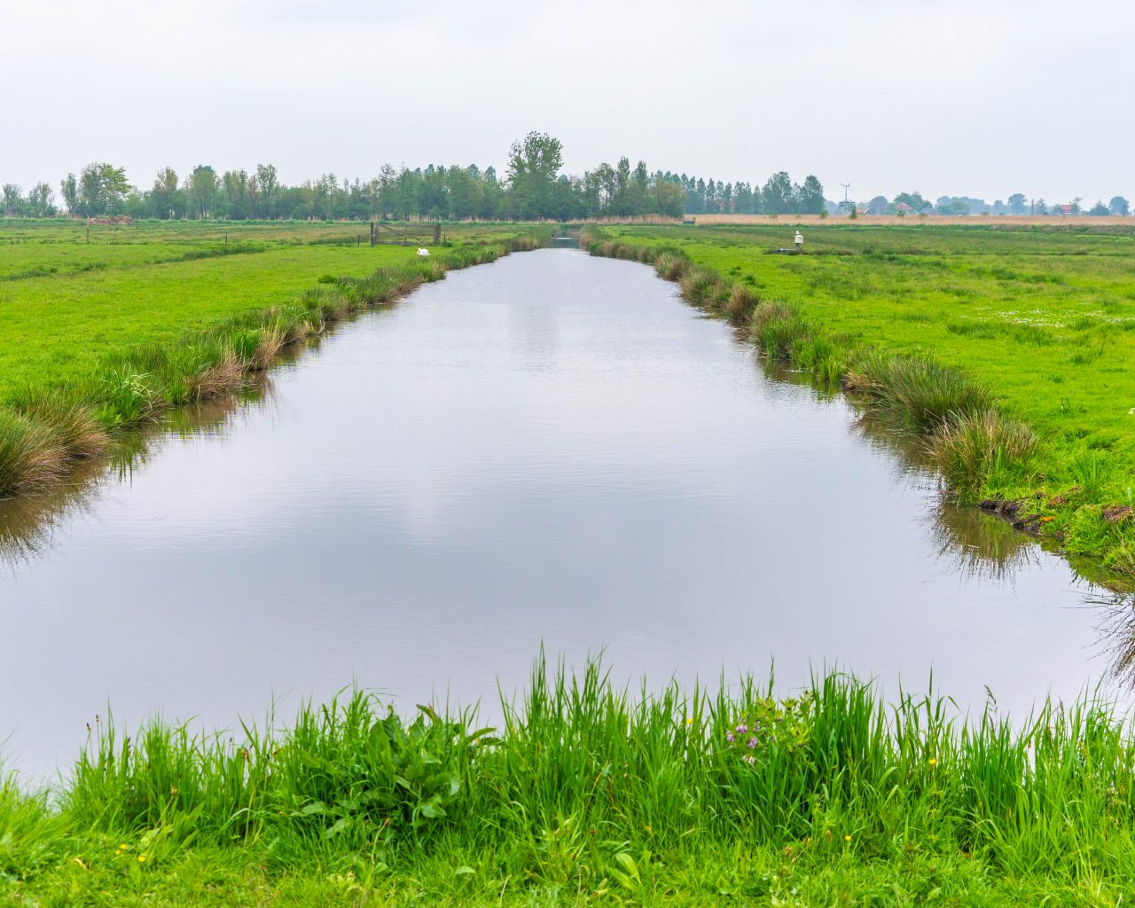 Zaanse-Schans-bezoeken