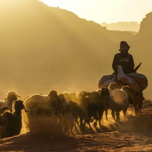 Mensen-fotograferen-op-reis-Wadi-Rum-Jordanie