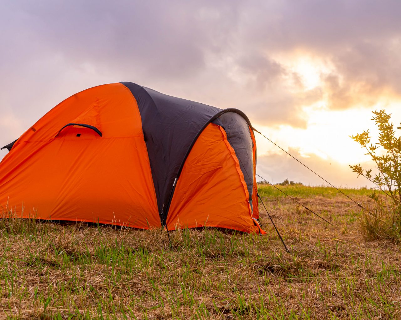 Pampus-forteiland-kamperen-tent