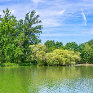 Leuven-gratis-Kasteel-van-Horst-water