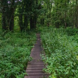 Leuven-gratis-wandelen-Silsombos-wandelpad