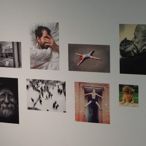 Leuven-M-Museum-kunst
