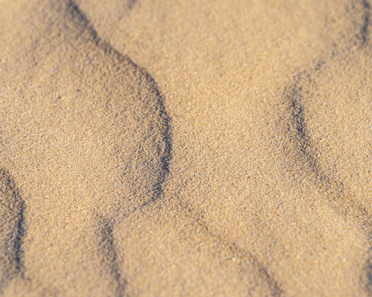 Loonse-Drunense-Duinen-zand