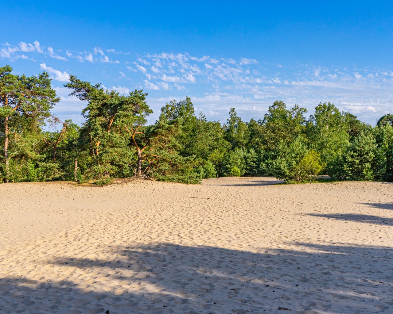 Loonse-Drunense-Duinen