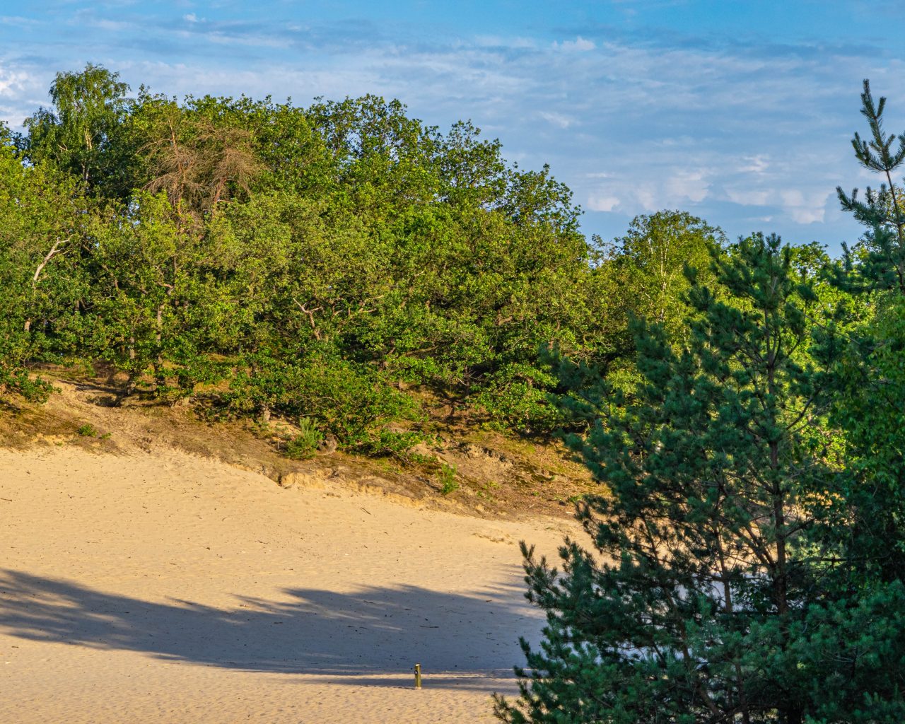 Loonse-Drunense-Duinen