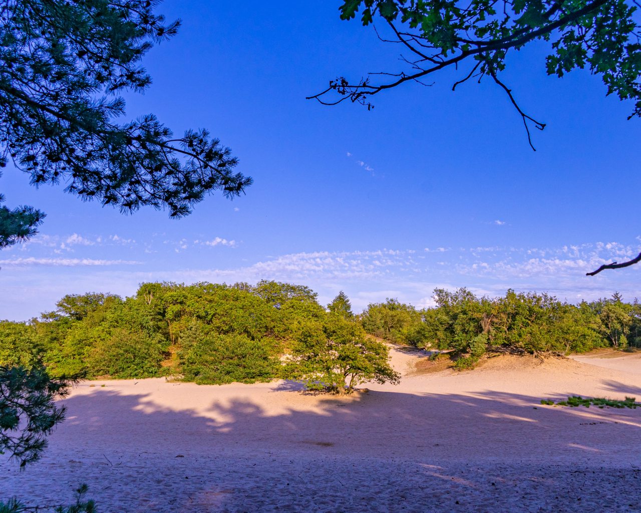 Loonse-Drunense-Duinen-zonsondergang