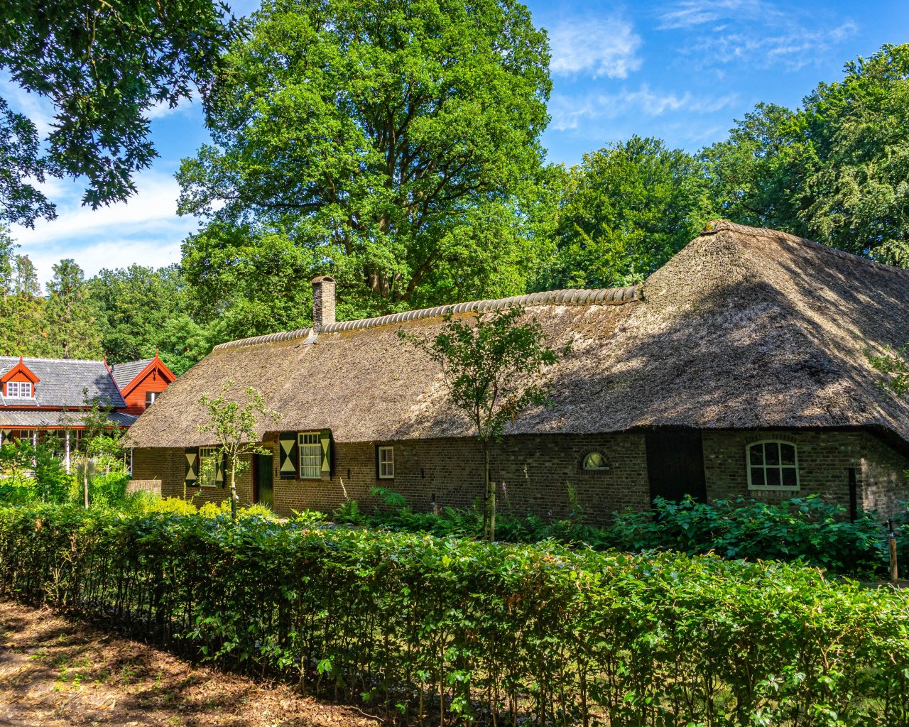 Loonse-Drunense-Duinen-plantloon