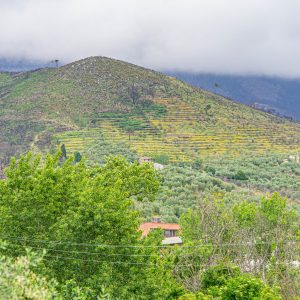 Calci-bij-Pisa