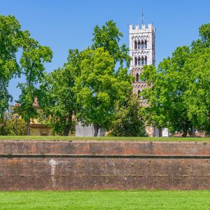 Lucca-ommuurde-stad-met-toren