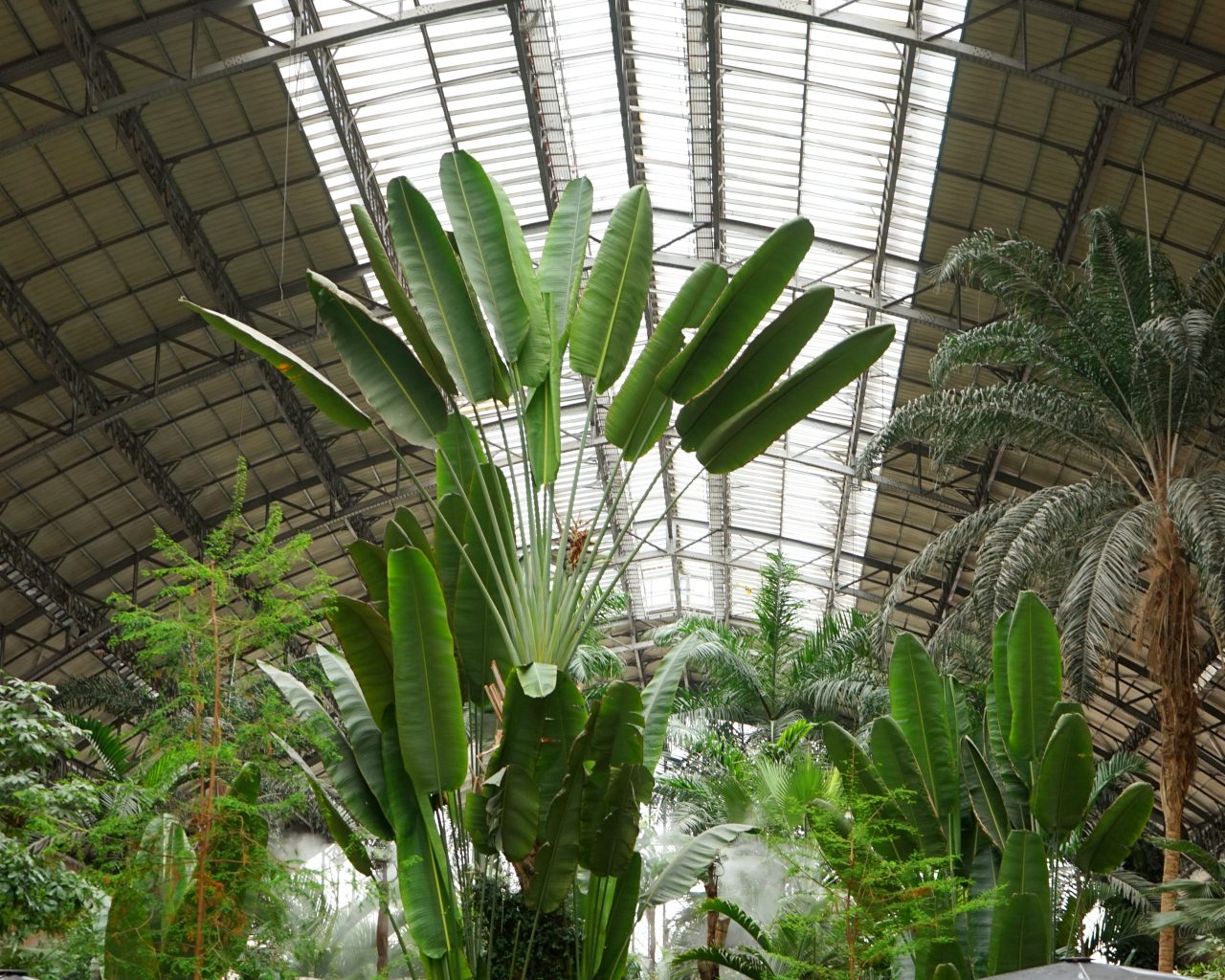 Atocha-treinstation-botanische-tuin