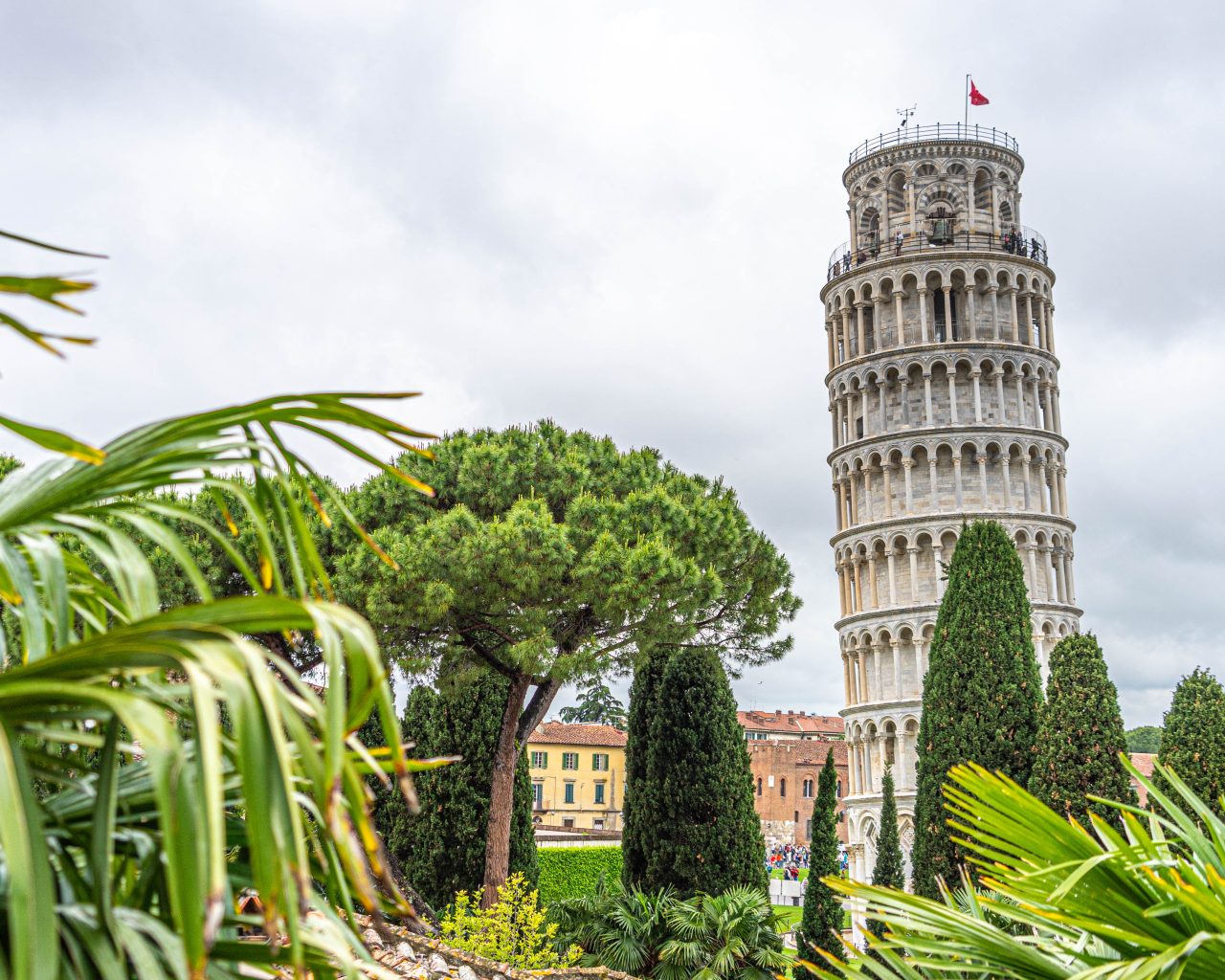 Toren-van=Pisa-met-planten