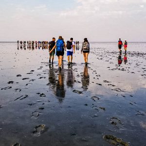 Wadlopen-tips-Waddenzee