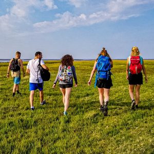Wadlopen-tips