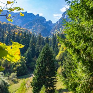 Bossen-Piatra-Craiului-hiken