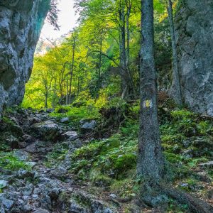 Gele-streep-wandelroute-Piatra-Craiului