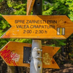 Borden-in-Piatra-Craiului-Nationaal-Park