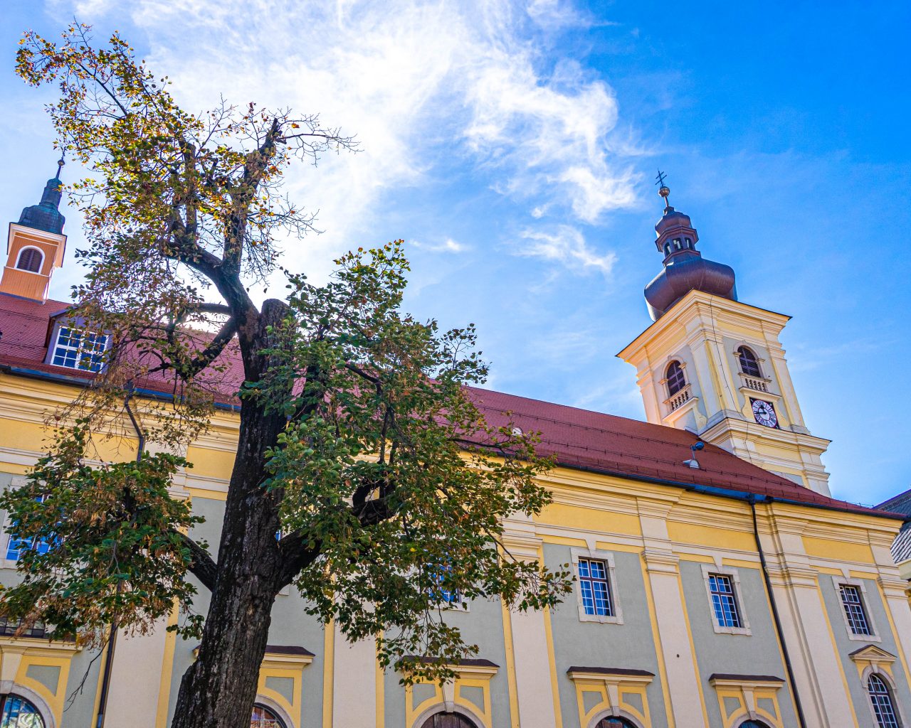Boom-met-geel-huis-Sibiu