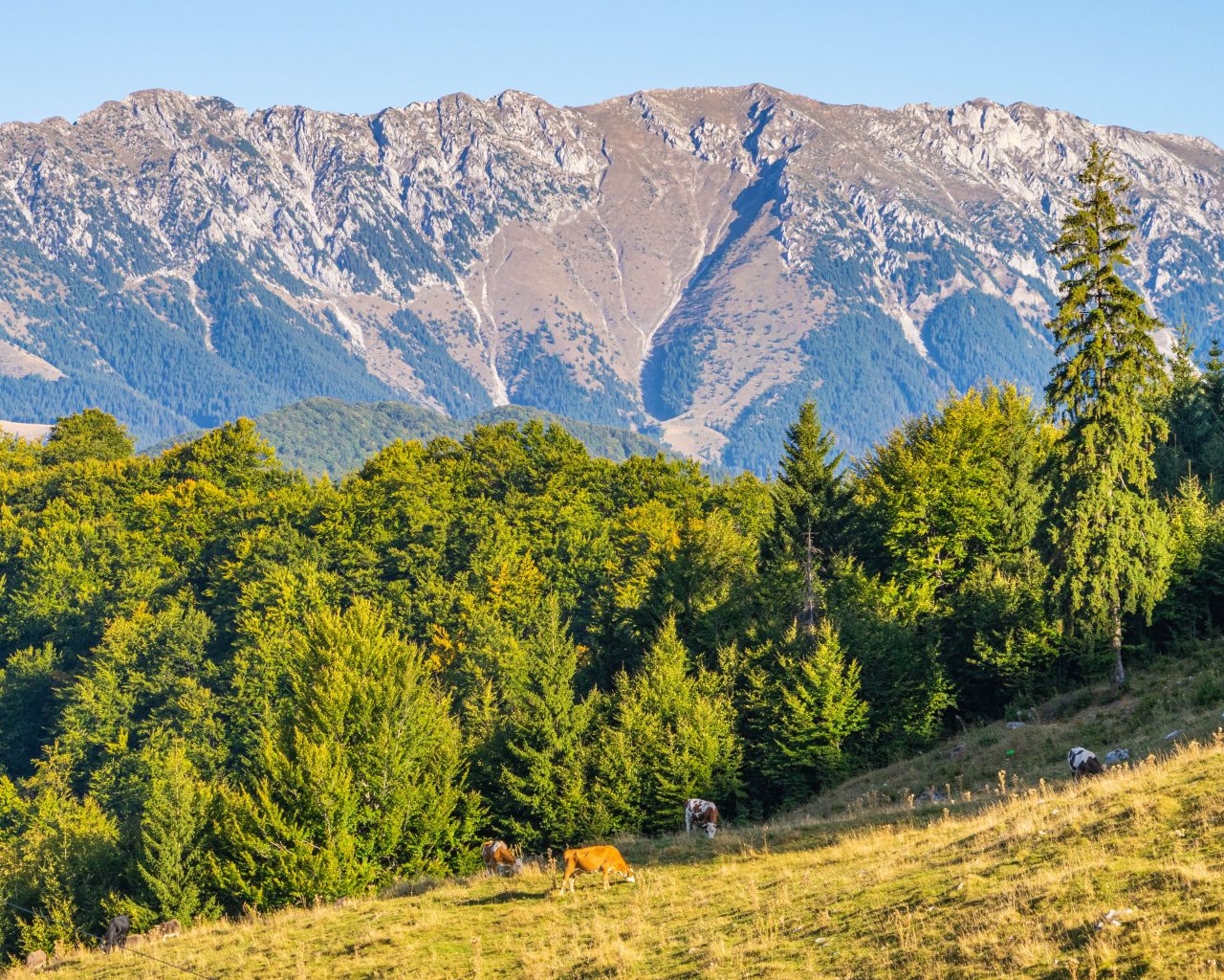 Wandelen-platteland-Transsylvanië