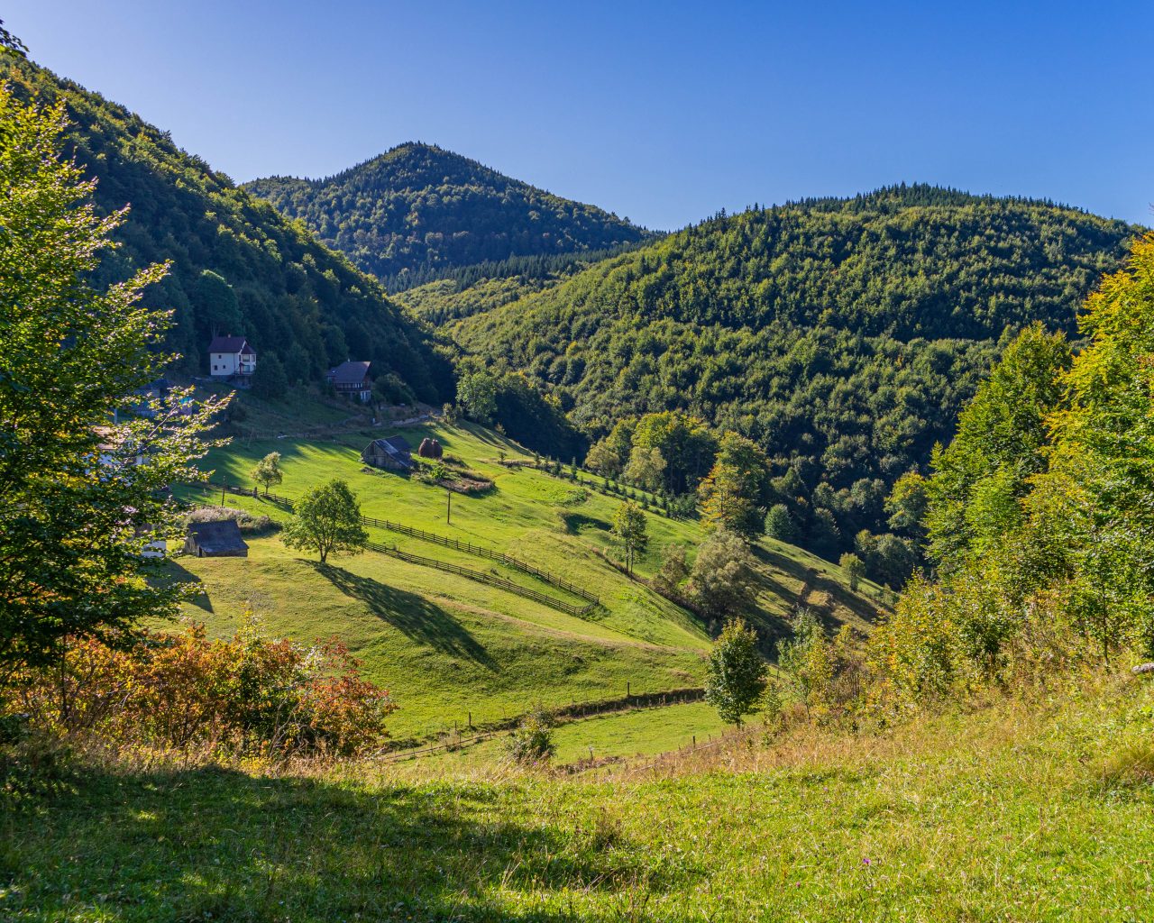 Groen-platteland-Transsylvanië