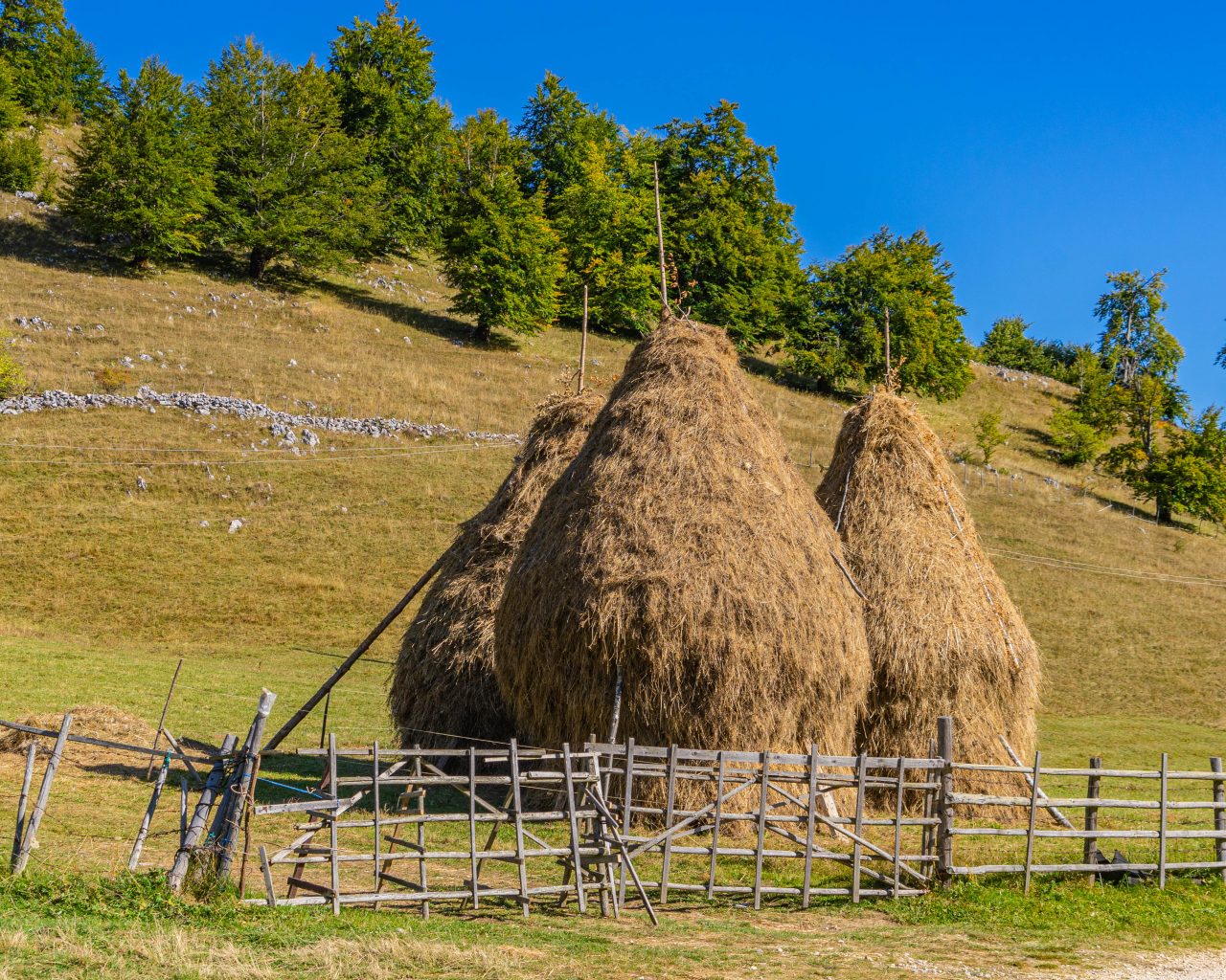 hooibergen-Transsylvanië-platteland