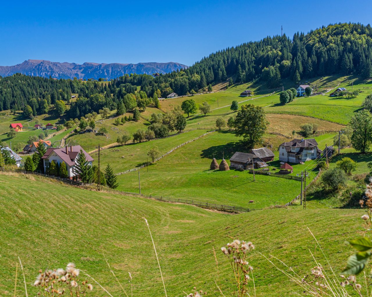 Wandelen-platteland-Transsylvanië