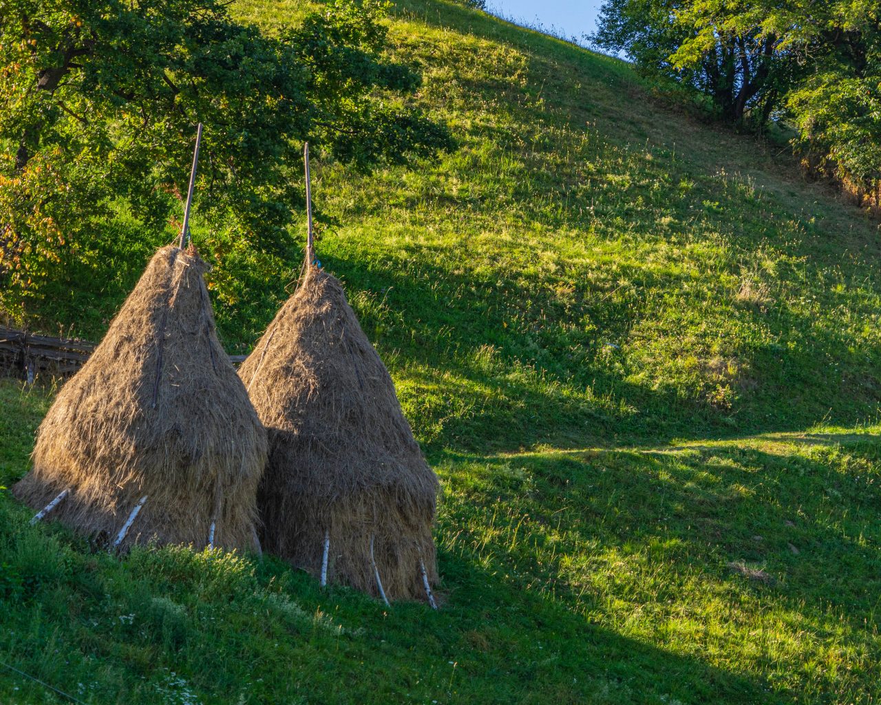 Hooibergen-Transsylvanië