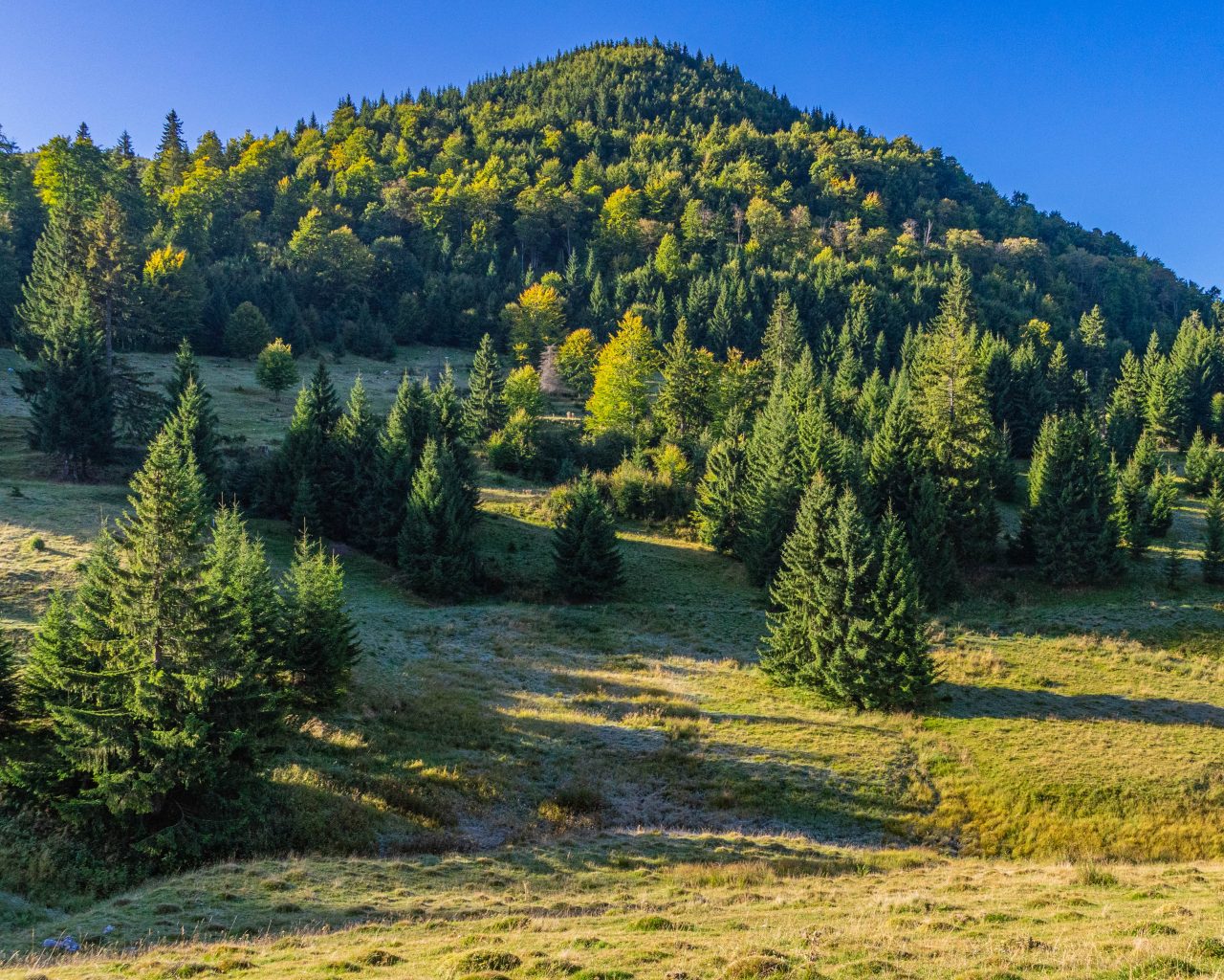 Wandelen-platteland-Roemenië