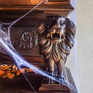 Leeuw-decoratie-kast-Bran-Kasteel
