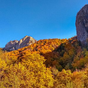 Herfstkleuren-Buila