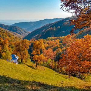 Weide-Buila-met-herfstkleuren
