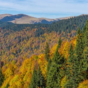 Herfstkleuren-Buila-Vanturarita
