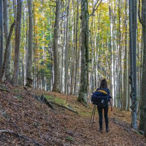 Jessica-in-bossen-Buila