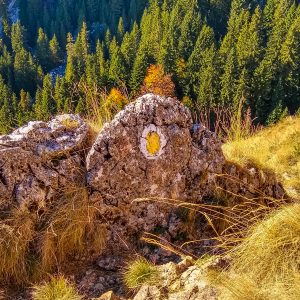 Gele-markering-trail