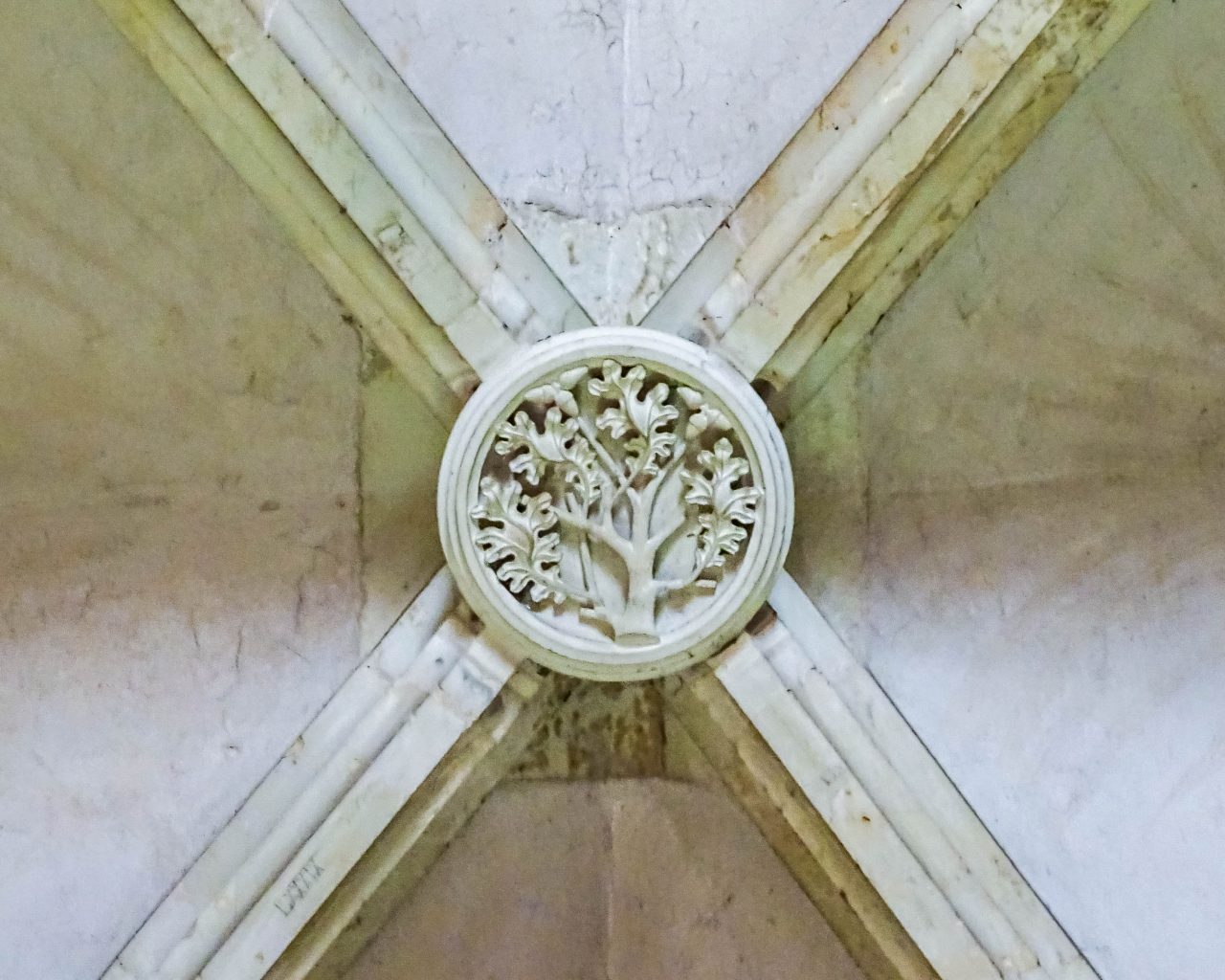 Detail-boom-symbool-in-Corvin-kasteel