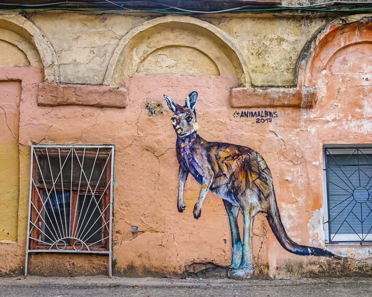 Street-art-kangoeroe-odessa