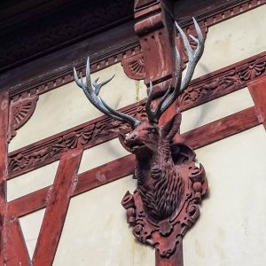 houten-hertenkop-aan-muur-Peles