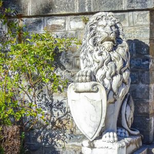 Standbeeld-van-leeuw-met-schild-in-tuin-Peles