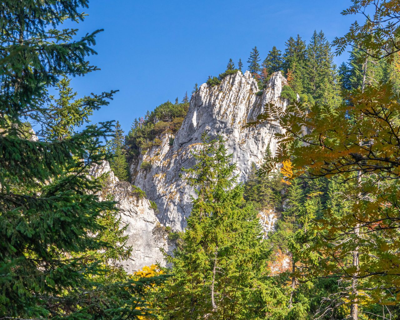 Rotsen-in-Piatra-Craiului-NP