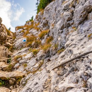 Wandelpad-Piatra-Crailui-rotsen