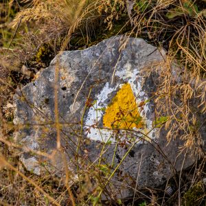 Gele-driehoek-wandeling-naar-beneden-Tampa