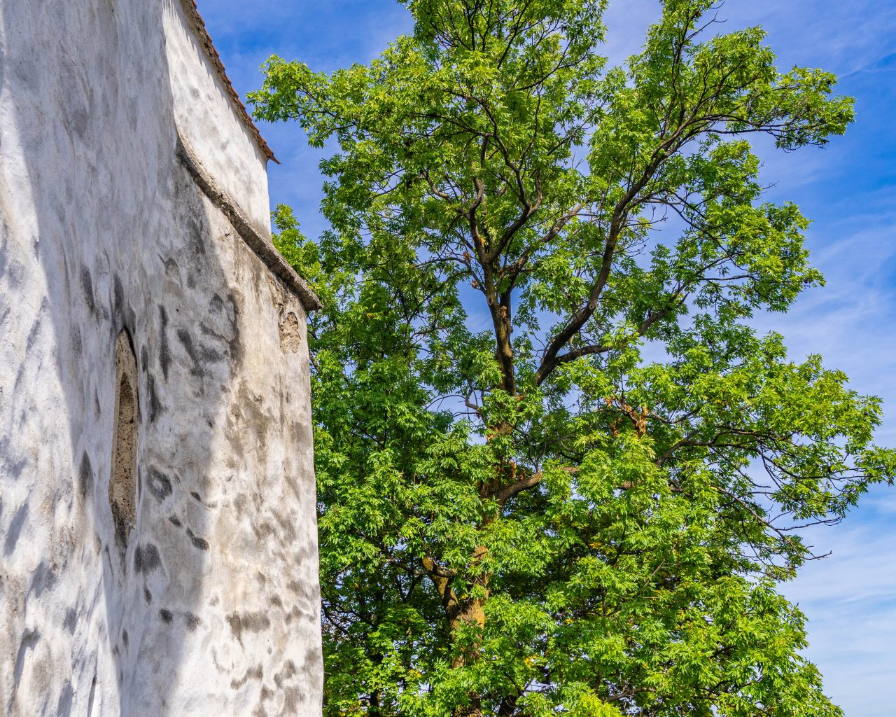 Witte-toren-Brasov