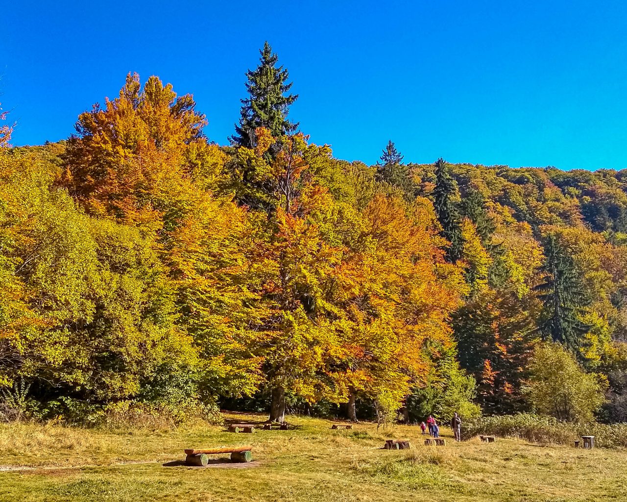 Herfstkleuren-Saint-Ana-Lake