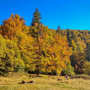 Herfstkleuren-Saint-Ana-Lake