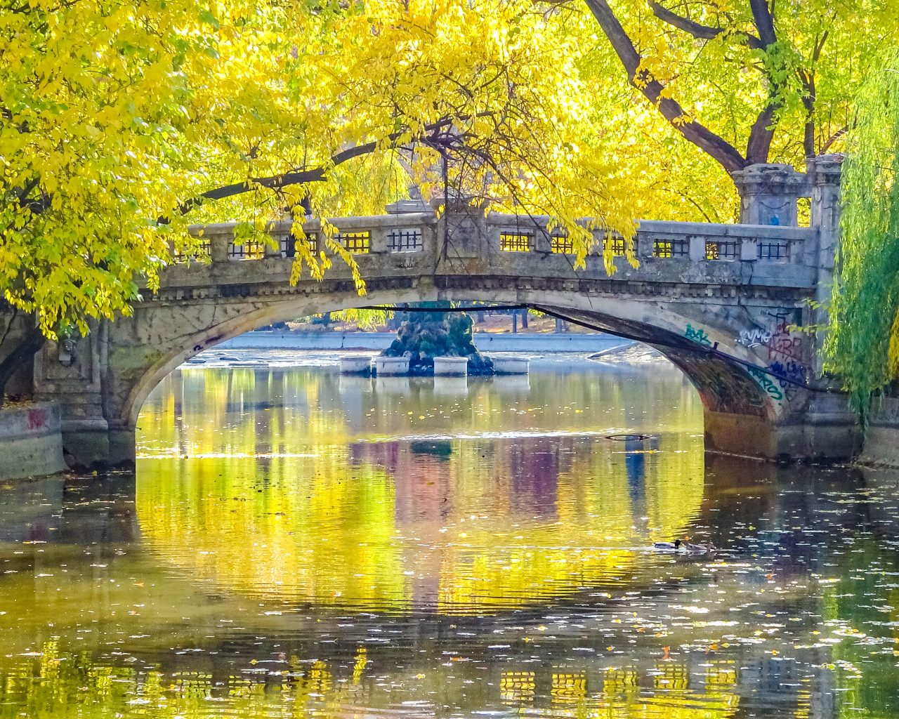 Cișmigiupark-brug-met-reflectie-in-water