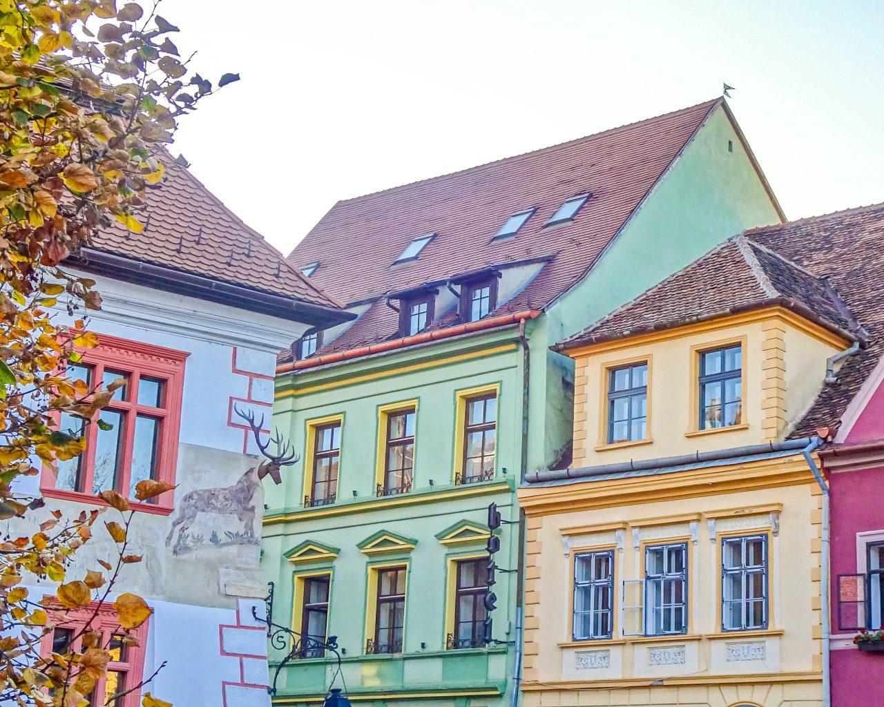 Kleurrijke-huizen-markt-Sighisoara-roemenie