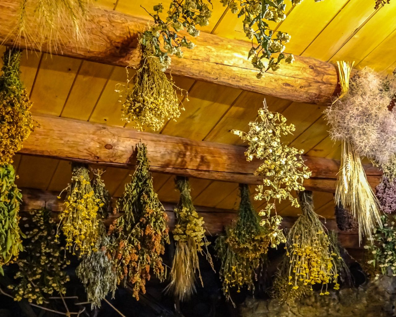 Gedroogde-planten-aan-plafond-hanul-lui-hanganu
