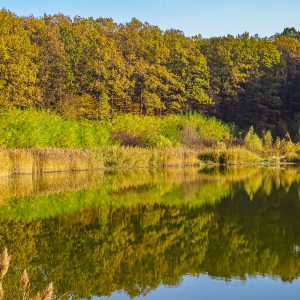 Meer-in-natuurreservaat-plaiul-fagului-Moldavie