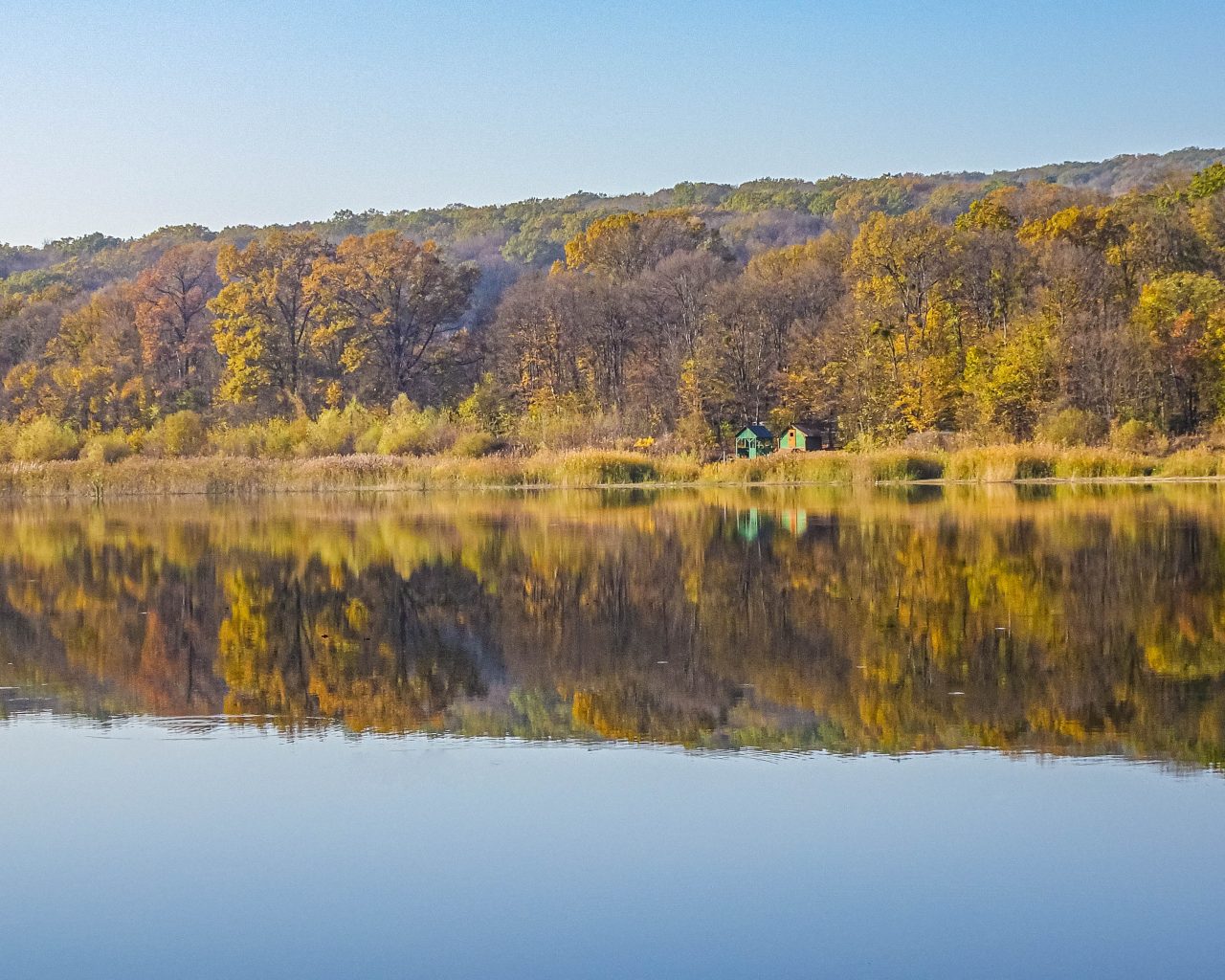 Reflectie-in-water-natuurreservaat-plaiul-fagului